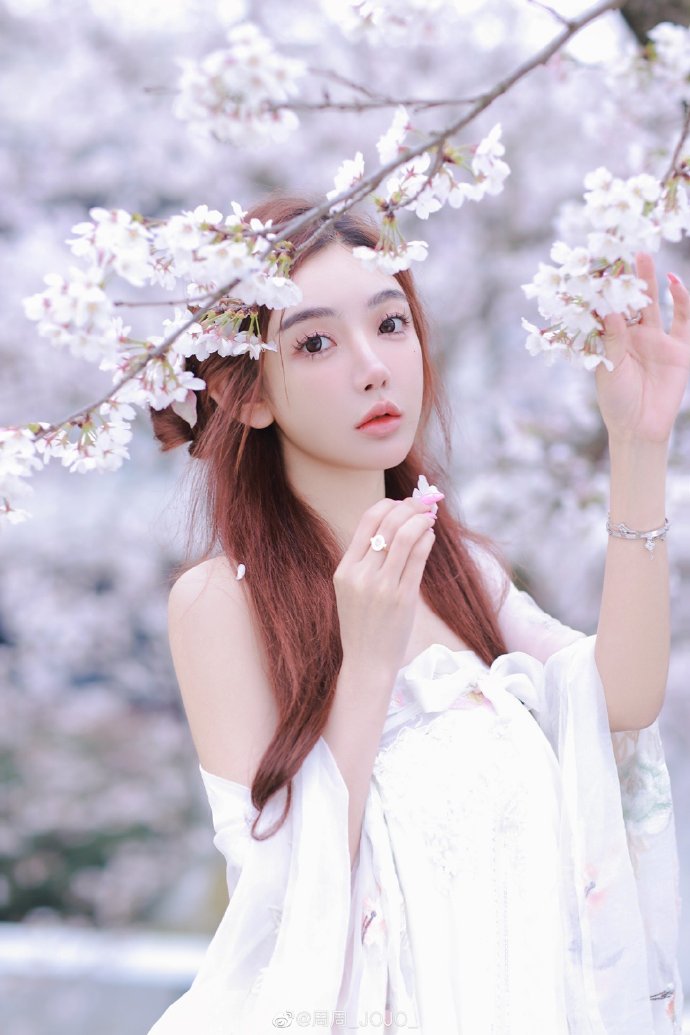 漫长的季节 封面